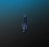 Todtgelichter - Angst